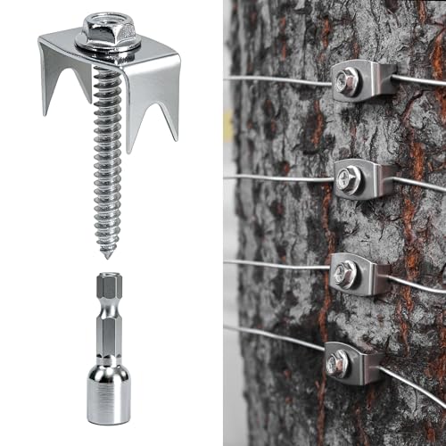 Sumloty 50pbN 304XeXX`[tFX Xe[v 1.6C` ėp\ȃtFXXN[B C[bVƐDtFXp p[hŊȒPɎt