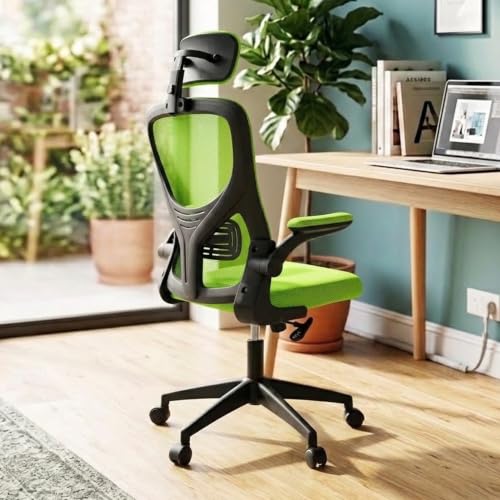Casa Copenhagen Green | High Back Imported Mesh Fabric Boss Office Chair | Y Design Ergonomic Back Support | 2D Aero Design Adjustable Armrests | Synchro Tilt Lock Mechanism