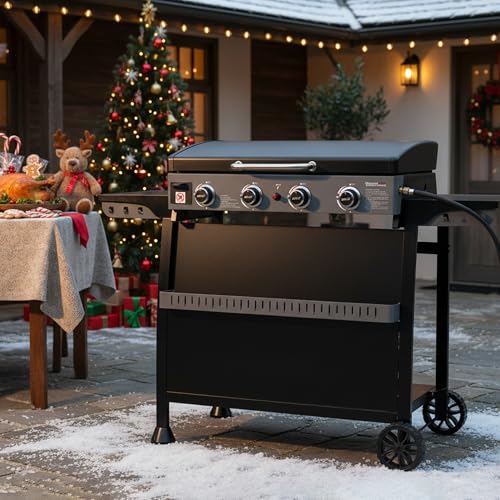 Royal Gourmet PD4001 Review