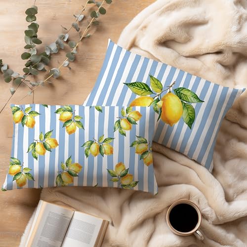 Image of Striped Blue and Yellow Summer Italian Mediterranean Amalfi Coast Lemon Pillow Cover Decor 12x20,Italian Decorative Throw Pillow Cover Decor for Couch Double-Sided Set of 2
