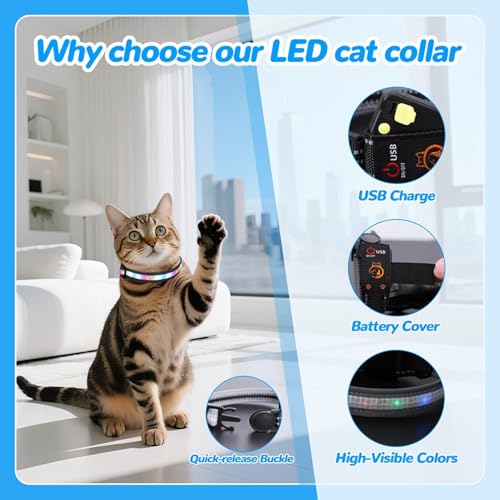 2X Collar para gatos iluminado LED impermeable recargable con mando remoto 8