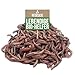 Produktbild KOMPOSTWÜRMER kaufen - 500 Stück/Sack - Kompoststarter Regenwurm Set - Gartenwürmer/Regenwürmer Eisenia-Mix lebend - aktive Würmer für Kompost, Komposter, Wurmkomposter, Wurmkiste und Wurmfarm
