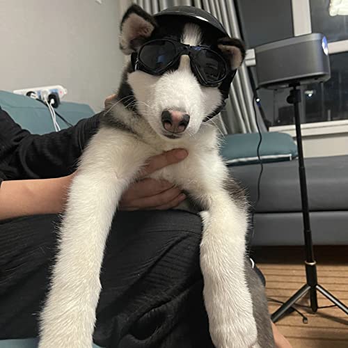 Vevins Dog Goggles Sunglasses For Middle & Large Dog, Uv Protective Foldable Pet Sunglasses Adjustable Waterproof Eyewear(Black) #TOP1