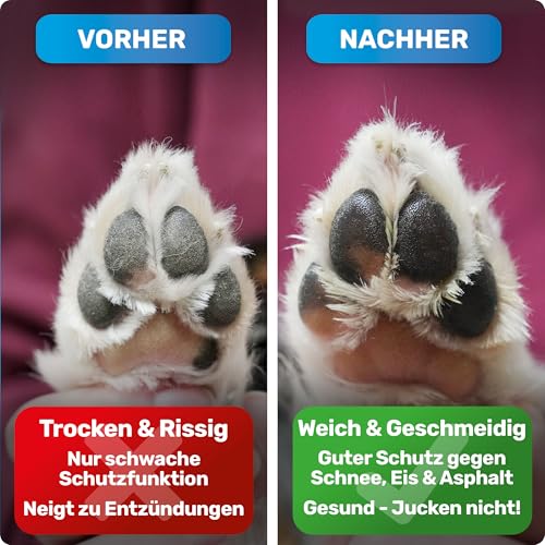 BluePet Pfotenbalsam Hund 50ml – Pfotenpflege Hund gegen trockene & rissige Pfoten und Nase – Natürlicher Schutz & Pflegebalsam für Hunde