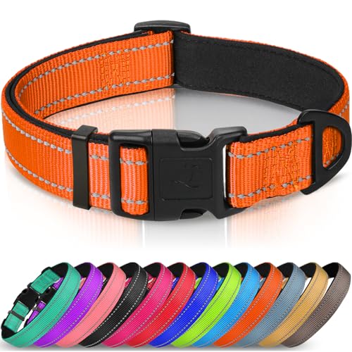 Joytale Halsband Hund, Gepolstertes Hundehalsband Breit aus Neopren Nylon Hundehalsband Verstellbar für Mittelgroße Hunde, Weich und Reflektierend Hundehalsbänder, M, Orange