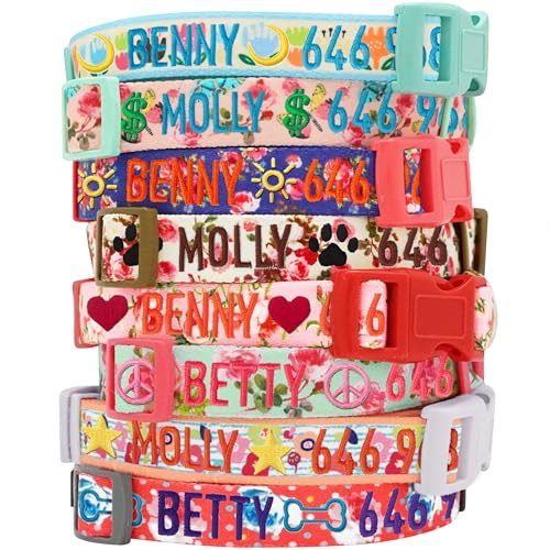 Blueberry Pet Personalized Collar