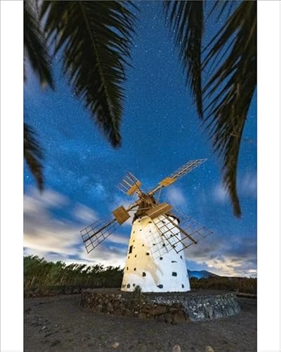 robertharding Palm Trees Frame Windmill Under Milky Way, El Cotillo Print - Print 10x8 (25x20cm) (24188479)
