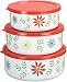 Corelle Coordinates by Reston Lloyd 6-Piece Enamel on Steel Bowl/Storage Set, Happy Days
