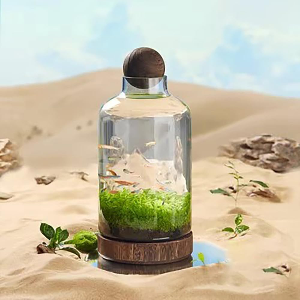 Fish Tank with Wooden Base, Classic Glass Betta Fish Bowl, Elegant Wooden Aquarium, Microecological Aquaponics Fish Tank, Home Decor Goldfish Tank, Guppy Fish Bowl,M