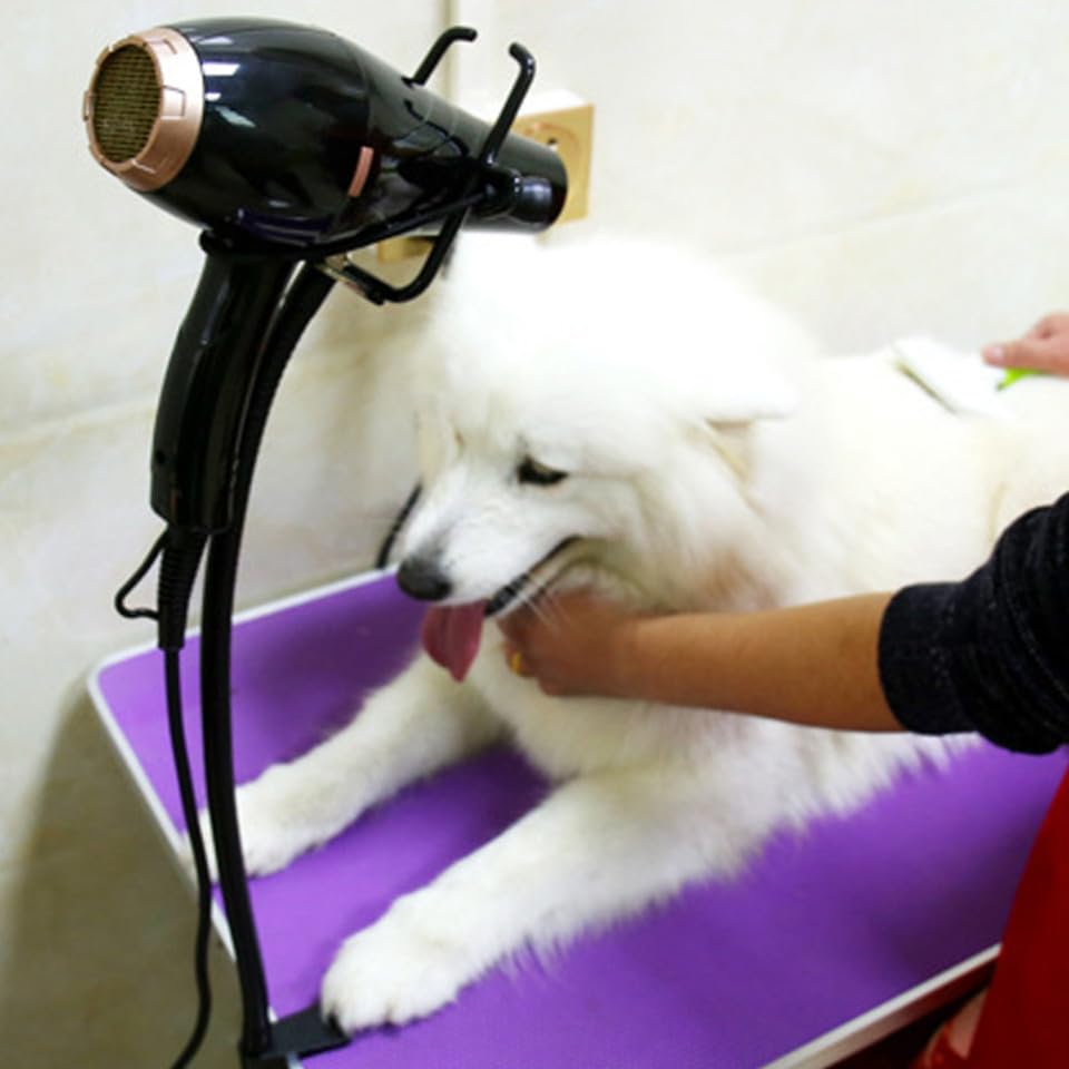 Support sèche-cheveux en acier inoxydable stable pour salons et professionnels - 4