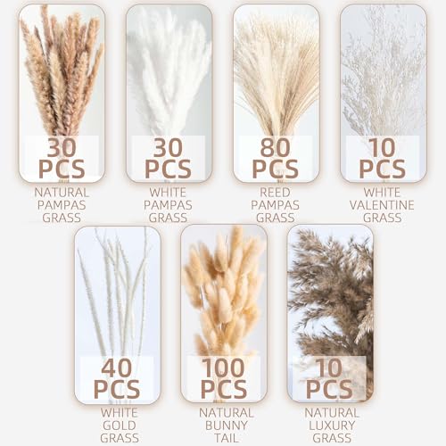 Natural Dried Pampas Grass Boho Home Decor Bouquet Phragmites Dried Flowers Bouquet for Wedding Floral Arrangements Home Decorations - Image 6