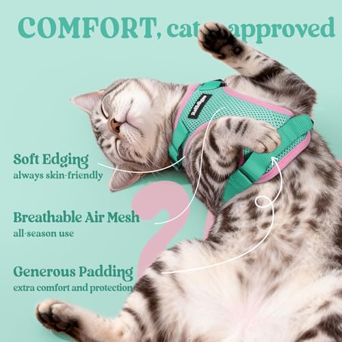 Image of rabbitgoo Cat Harness and Leash Set, Escape Proof Vest, Green & Pink | Soft Breathable Mesh, Easy Adjustable Fit, Snap Buckles, Sturdy Clip, Reflective Strips, for Kittens & Small Cats Walks, Xxs