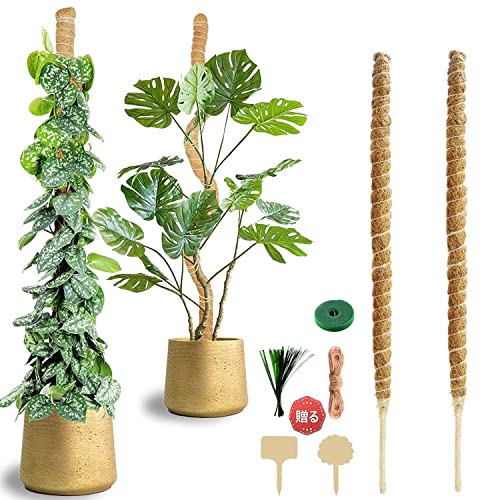 植物支柱 園芸支柱 観葉支柱 つる性植物 誘引 支柱 2/4個セット ココスティック フラワースタンド 植物サポート ガーデニング支柱 フラワー支柱 ココナッツ支柱 観葉植物モンステラ 支柱 農業用 園芸用品 自由に曲げる 野菜 栽培 養分維持 庭 栽培