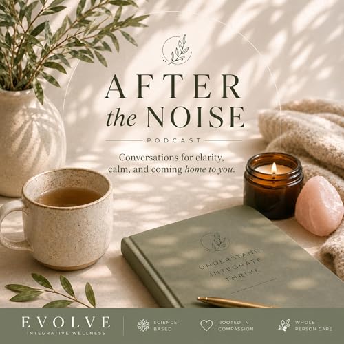 After the Noise cover art