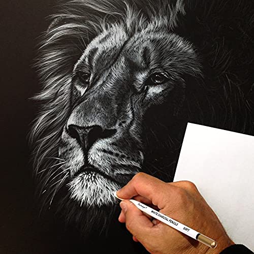 Dainayw DN6WT White Charcoal Pencils Drawing Set thumb #5
