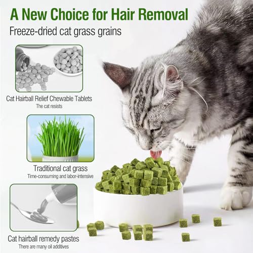 Image of 60g /2.13oz Cat Grass Teething Toy Hairballs,Chew Treats for Cats,Edible Cat Chew Toys,Natural for Cats,Teeth Cleaning and Hairball Removal (60g)