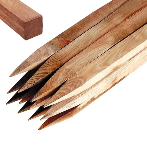 Garden Stakes 30cm (1ft) Long Wooden Stakes for Plant & Tree Support - 5 Pack Pressure Treated Timber 2.5cm Thick Wood Stakes by Circle of Trust