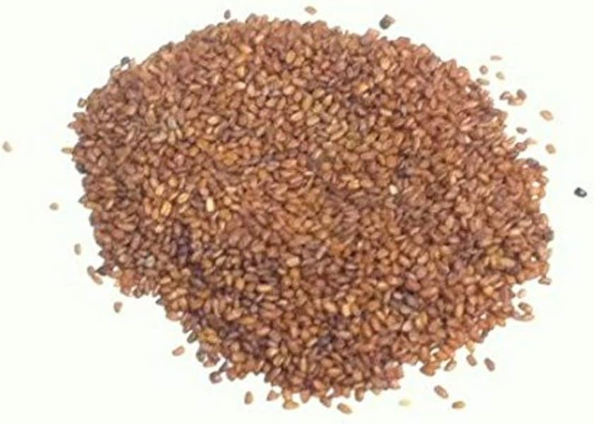 Planet 007 Khubkala Hedge Seed 200 gram