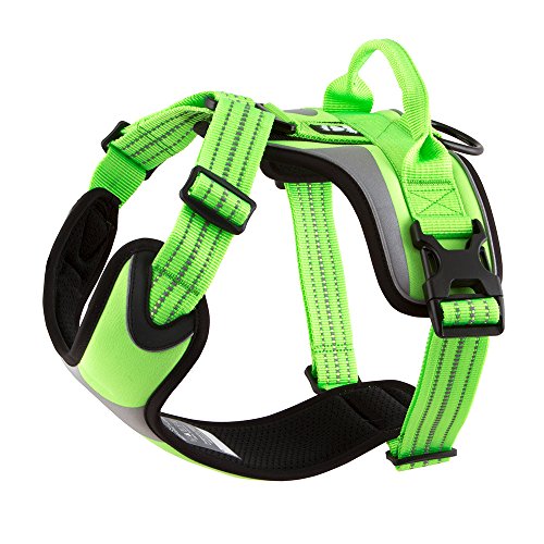 Hurtta Active Dazzle Cablaggio del Cane, Kiwi, 18