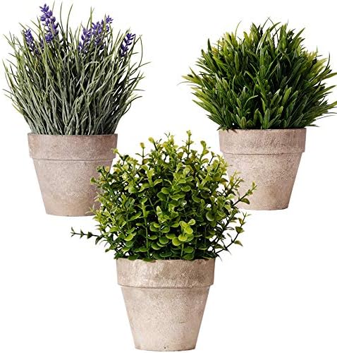 Bulexy Artificial Mini Potted Plants, Set of 3 Faux Eucalyptus Grass Lavender Plants Greenery in Pots Small Houseplants for Indoor Kitchen Dining Room Office Tabletop Centerpiece Decorations