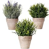 Bulexy Artificial Mini Potted Plants, Set of 3 Faux Eucalyptus Grass Lavender Plants Greenery in Pot