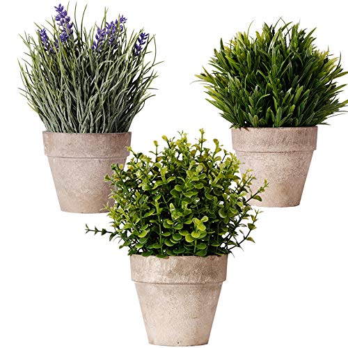 Bulexy Artificial Mini Potted Plants, Set Of 3 Faux Eucalyptus Grass Lavender Plants Greenery In Pots Small Houseplants For Indoor Kitchen Dining Room Office Tabletop Centerpiece Decorations #TOP26