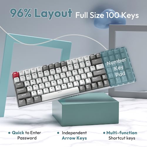Rk Royal Kludge Rk100 Wireless Mechanical Keyboard, Bluetooth5.1/2.4G/Wired 96% Full Size 100-Key Hot Swappable Gaming Keyboard With 3 Usb Ports, Brown Switch For Mac Windows, Classic #TOP3