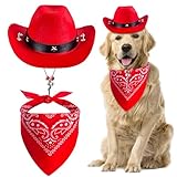 Disfraz de sombrero de vaquero para mascotas, uso diario