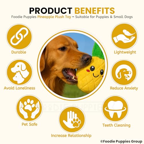 Image of Foodie Puppies Interactive Dog Squeaky Plush Toy - (Pineapple) | Durable Crinkle Papered, Cotton Stuffed Chew Toy for Teething, Cuddling, Playing and Training | for Small to Medium Dogs (Size: 21cm)