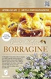 Semi di Borragine Borago Officinalis per Apicoltura, Produzione di Miele, borraggine Nutrimento Naturale per Api