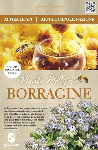 Semi di Borragine Borago Officinalis per Apicoltura, Produzione di Miele, borraggine Nutrimento Naturale per Api