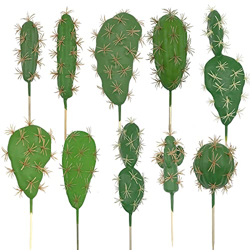 Woohome 10 PCS Plantes Succulentes Artificielles Mixtes Faux Cactus Artificielle Cactus pour Lotus Paysage décoratif Arrangement de Jardin Décor
