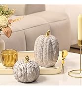 AOMOONOA Fall Pumpkin Decor, Resin Pumpkin Figurine Set of 2, Decorative Fake Pumpkin for Decorat...