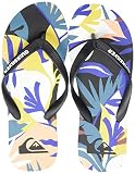 Marca Quiksilver y logo fino moldeado con la montaña y la ola