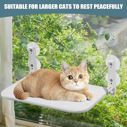 Cama De Janela Para Gatos,Rede para Gatos na Parede com Ventosas - Base Acolchoada Montável Para Amb