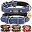 Navy blue collar without leash