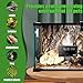 Fenocran Automatic Reptile Mister System, Reptile Humidifiers Smart Misting System