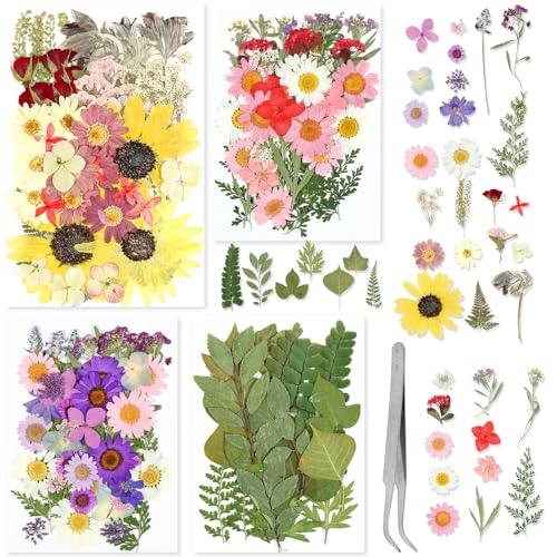 Juego de 152 flores secas prensadas para manualidades miniatura 1