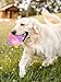 2 Jumping Activation Ball for Dogs Flashing Ball Light, Colorful 12cm Spiky Squeaky Light up Dog Ball with Music, Active Rolling Ball for Dogs, Vibrating Dog Ball Toy, Interactive Moving Dog Ball
