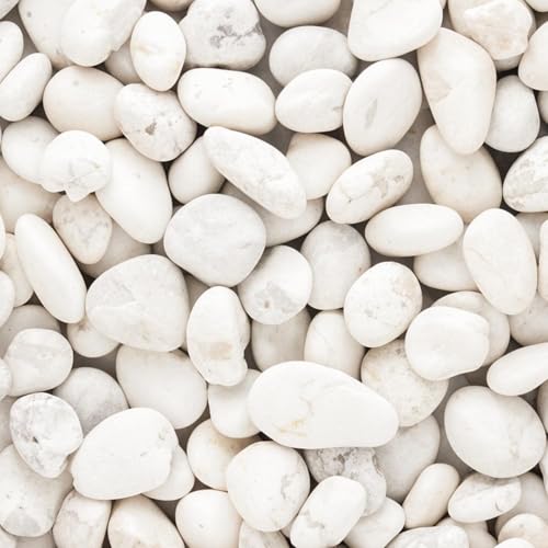 Image of TrustBasket White Pebble Decorative Stones Marble Rock 2Kg | White Garden Pebbles for Plant Pots, Landscaping, Aquarium, Vase, Pathways & Home Decor