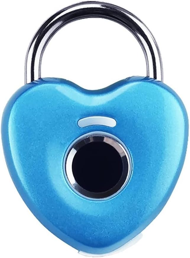 Fingerprint Padlock Sports Lock, Can Collect 20 Fingerprints, Mini Padlock Keyless Fingerprint Lock for Luggage School Bag Toolbox (Color : Blue)