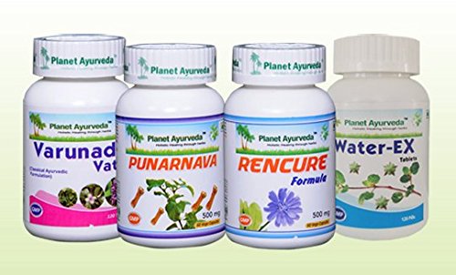 Water-Ex Care Pack - Ayurvedic Remedy for Edema by Planet Ayurveda (in USA)