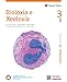 BIOLOXIA E XEOLOXIA 3 (COMUNIDADE EN REDE)