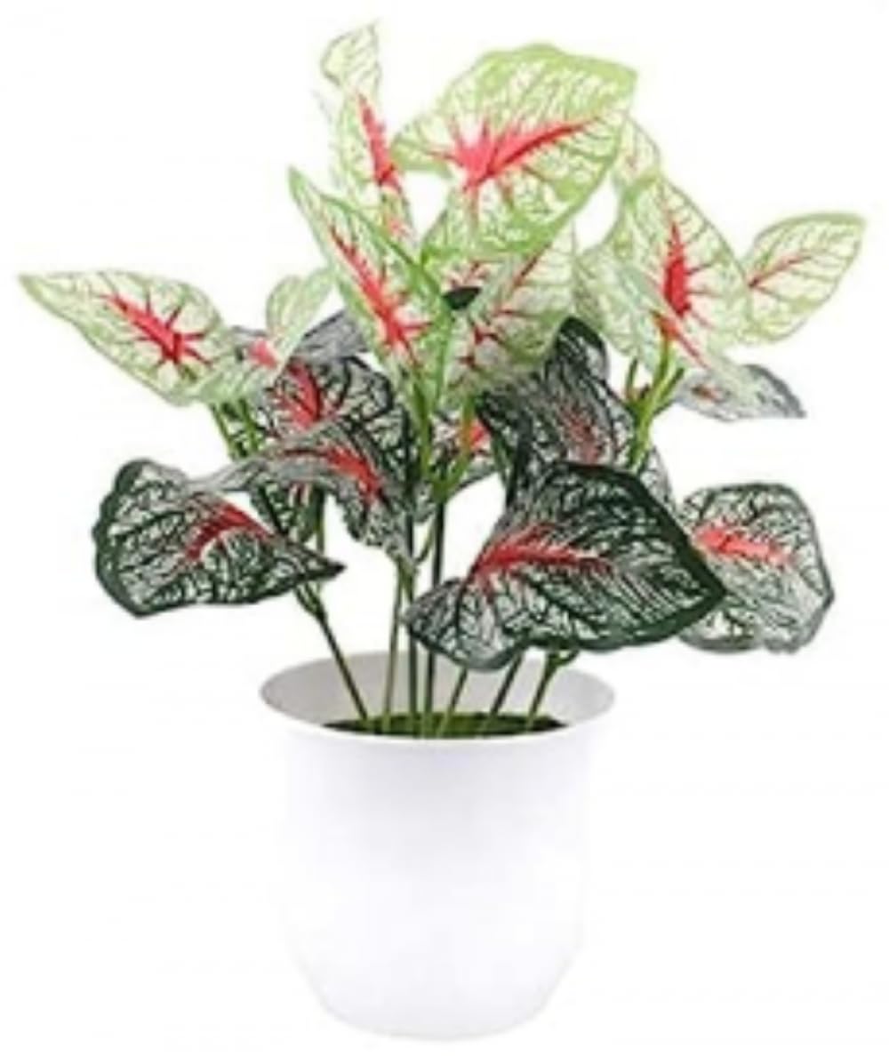 Plantes artificielles de table : sublimez votre bureau avec ce petit bonsaï
