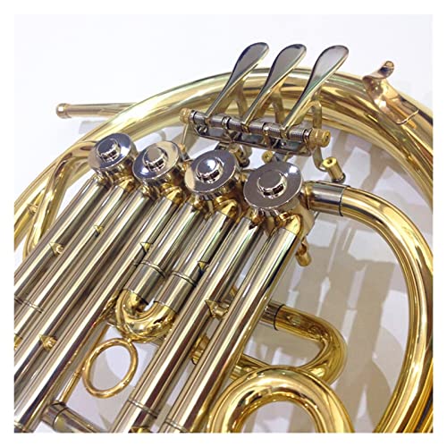 Alfaal The Detachable Double-Row French Horn With B/F Lowering Is Suitable For Beginners To Test The Performance Professional French Horn #TOP1