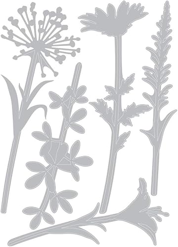 Miniatura 4 de Tim Holtz Sizzix - Tallos de flores Thinlit Bundle - Tallos de flores silvestres #1 y tallos de flores silvestres #2