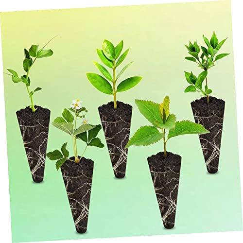 TOYANDONA 1set Nutrient Soil Blocks for Indoor Planting Soilless Cultivation Supply for Hydroponic and Traditional Gardening for and Vegetable Growth 50pcs - Image 4
