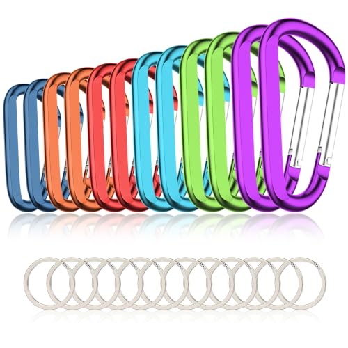 Image of CampTek Carabiner Caribeaner Clip,3 inch Large Aluminum D Ring Shape Carabeaner with Keyring Keychain Hook