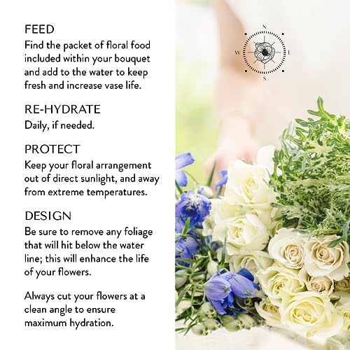 Floral Compass Bouquet of Flowers for Delivery - Prime Eligible - Health & Wellness Flower Bouquet, 30+ Fresh Cut Flowers, No Vase - Thumbnail 5