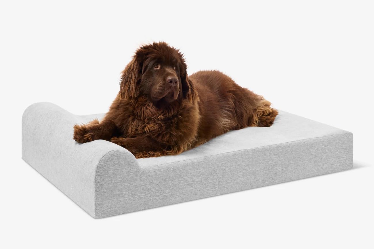 Barker Beds XL Orthopedic Dog Bed - 7" Pillow Top with Headrest - 75-120 lbs - Memory Foam for Joint Pain & Arthritis - Washable - 52"x36"x7" - Stormcloud Linen